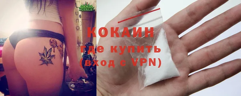 Где найти наркотики Порхов Псилоцибиновые грибы  Cocaine  АМФ  ГАШ  Марихуана 